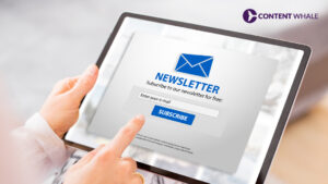 what is a newsletter