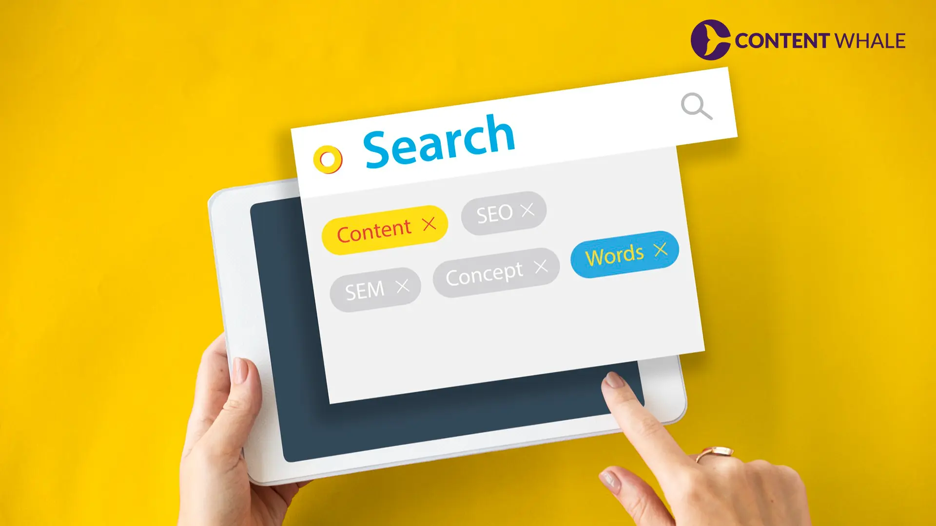 GBP categories, review velocity, local citations, service area businesses