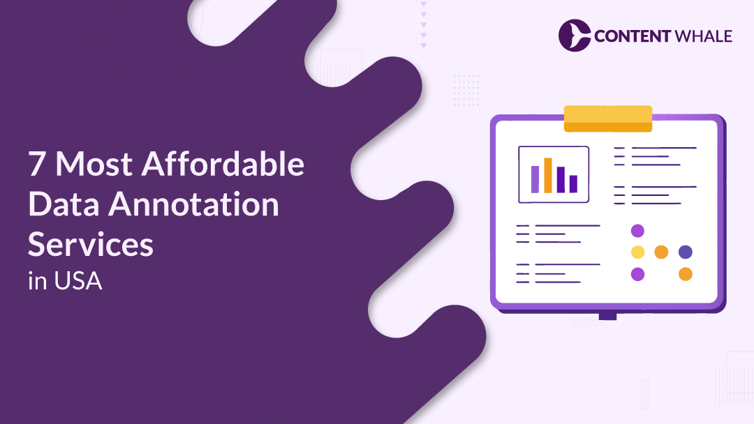 7 Most Affordable Data Annotation Services in USA