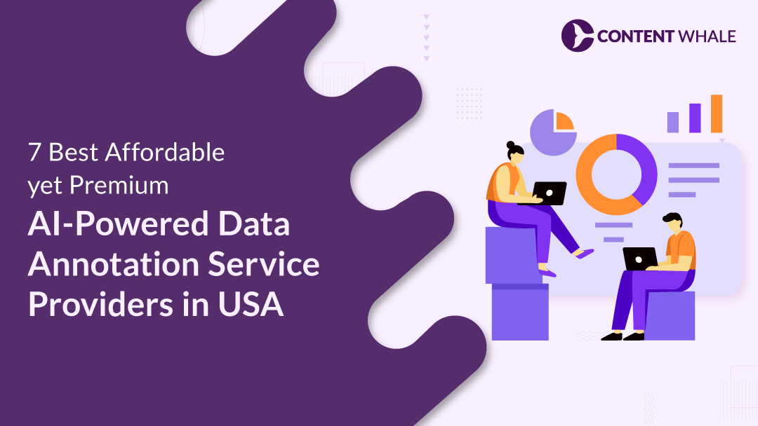 Data Annotation Services - Affordable yet Premium AI-Powered, AI Data Annotation Services, AI data labeling services, best data annotation companies USA, premium data annotation providers, affordable annotation services, AI data annotation USA, precision annotation, bounding boxes, semantic segmentation, data labeling tools, automated quality checks, annotation outsourcing, SaaS annotation platforms, cross-industry solutions