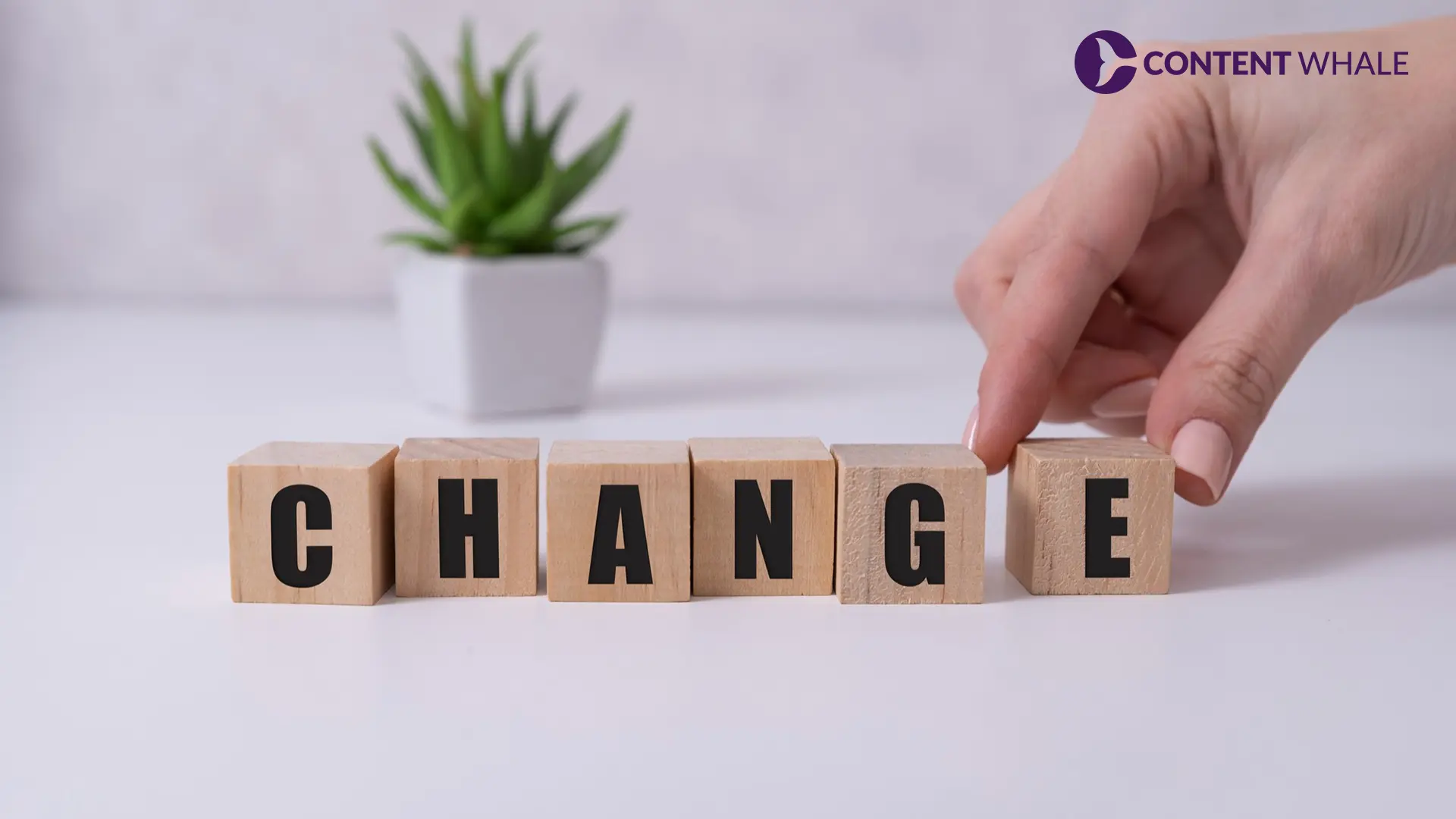 advanced AI search models, intelligent model routing, multimodal AI search