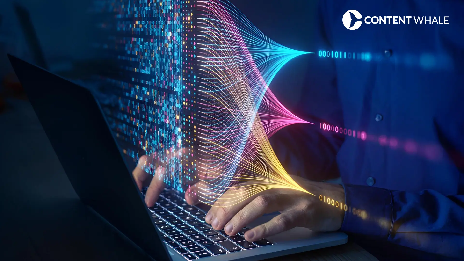 content creators, email marketing, media platform