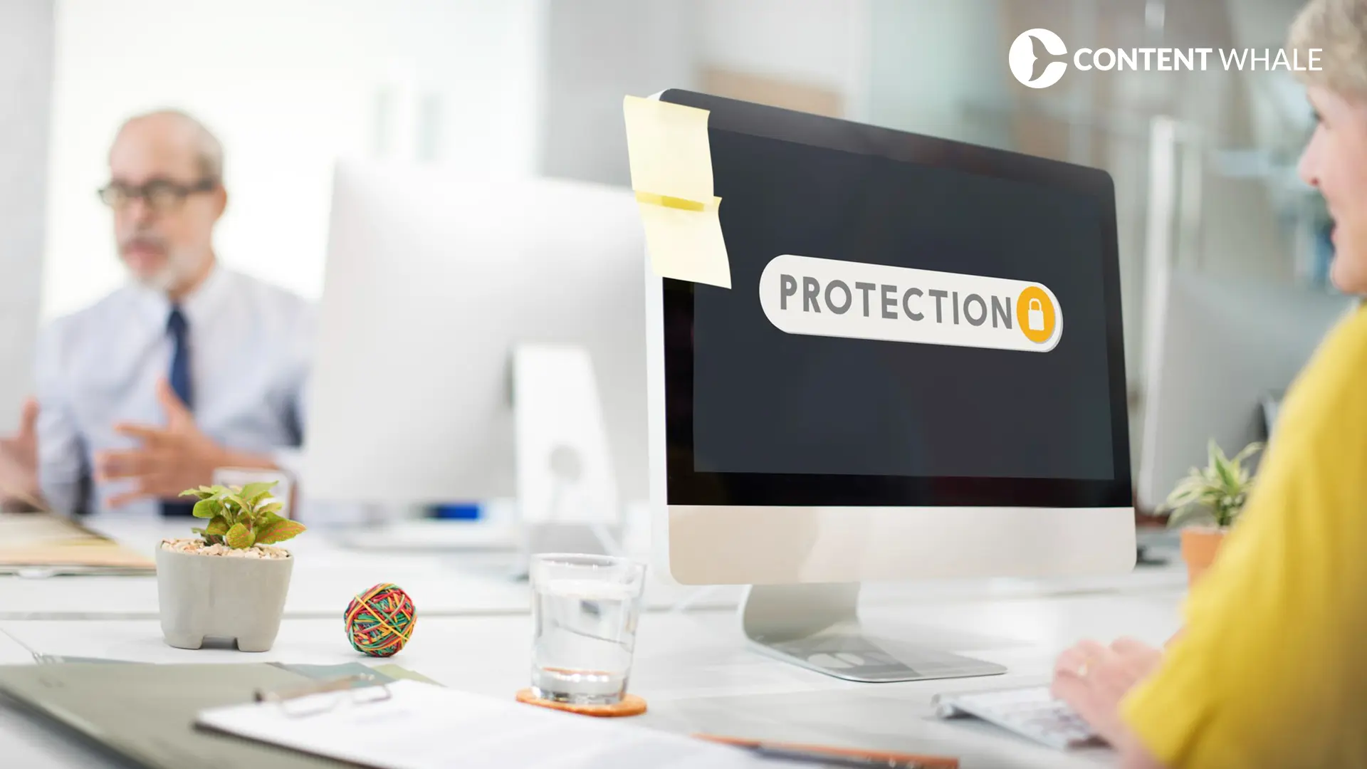 brand safety controls, audience targeting options, budget allocation methods