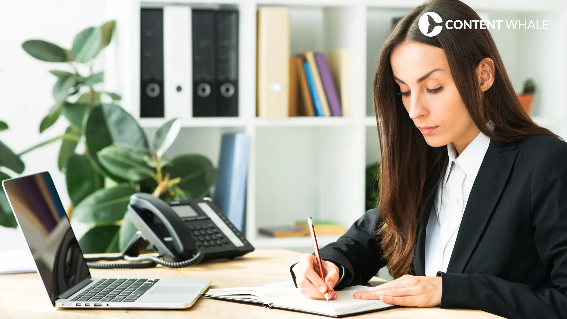 content quality standards, AI detection tools